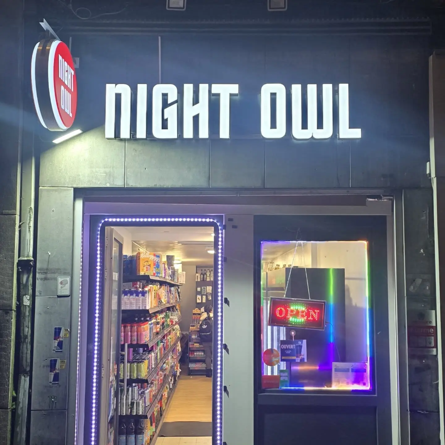 nigh owl